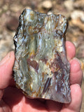 Brecciated Jasper from the Dead Camel Mountains