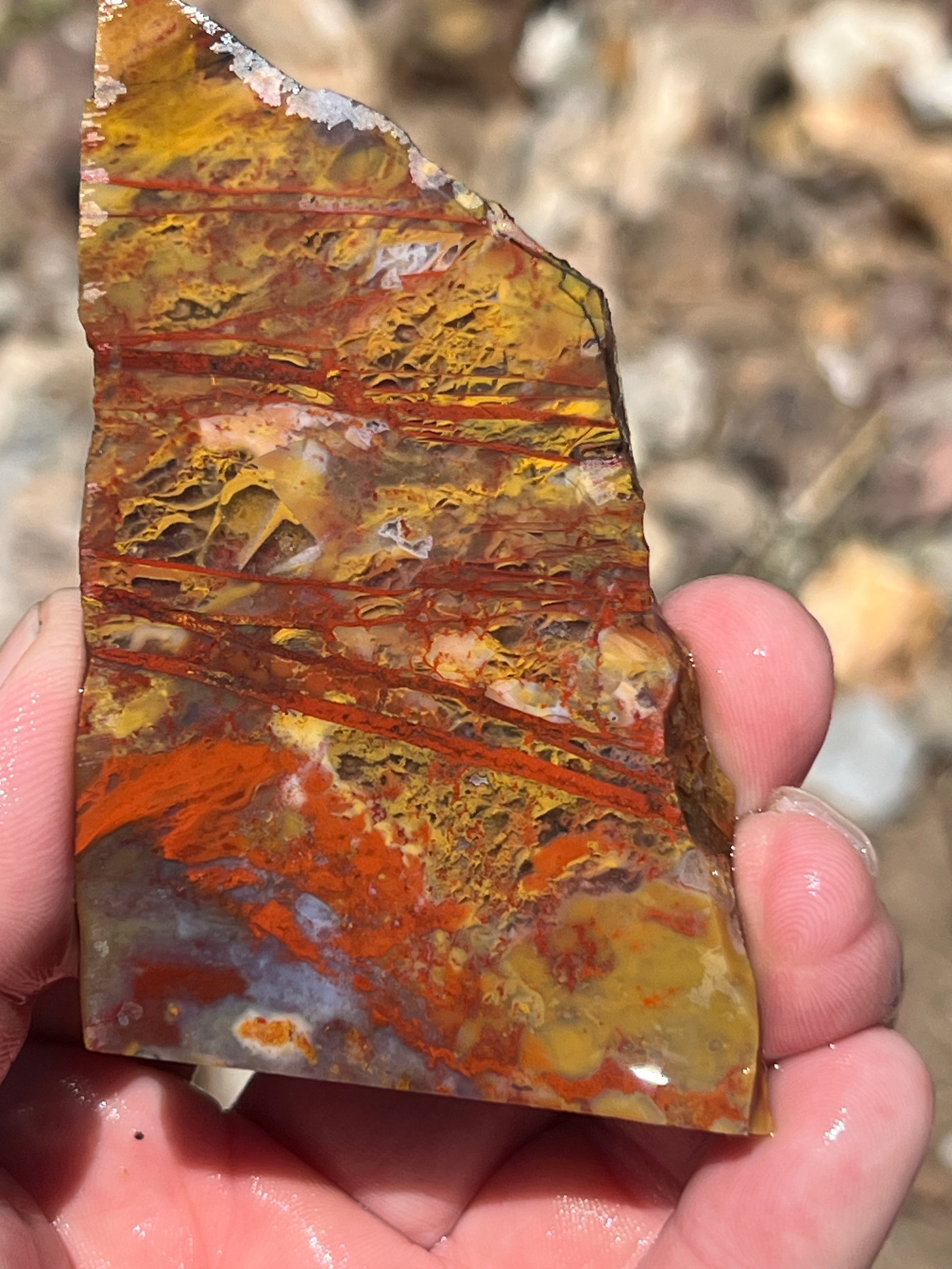 Donkey Ridge Jasper Slab