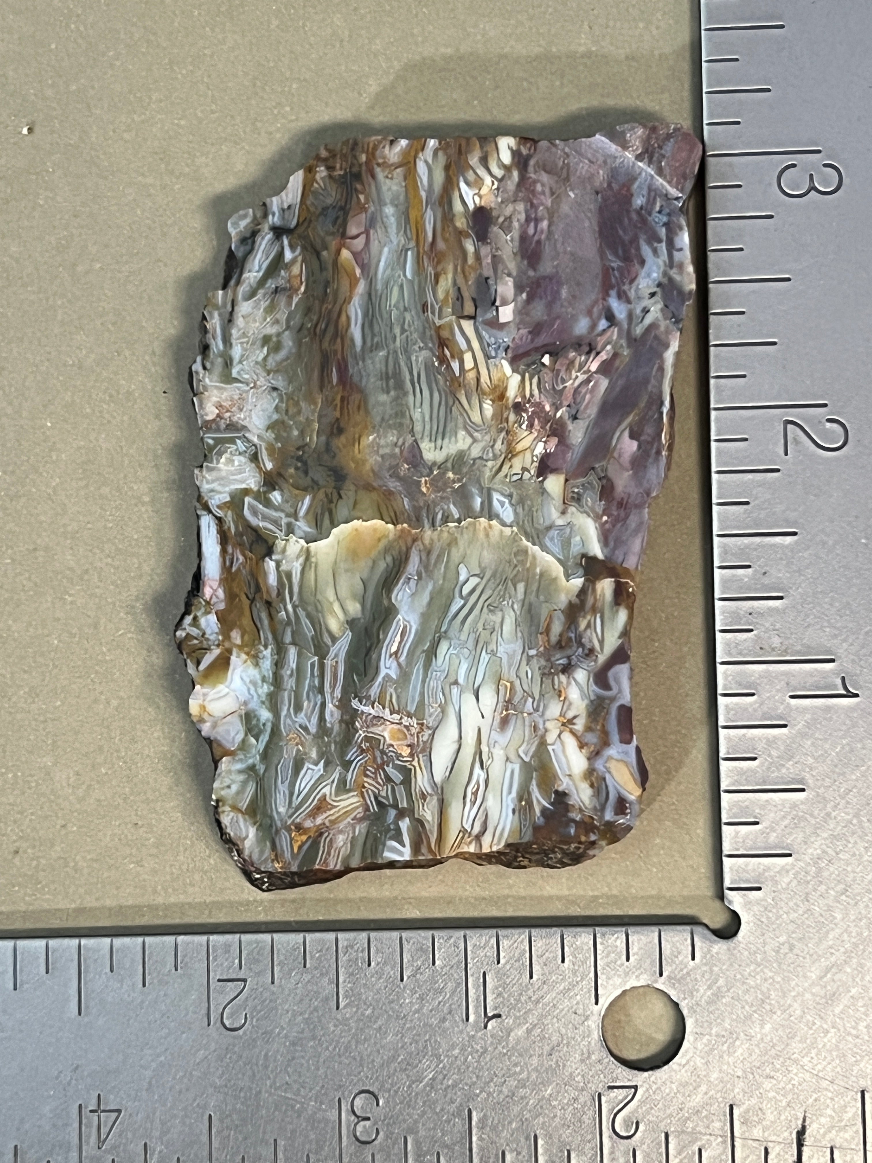 Brecciated Jasper from the Dead Camel Mountains