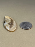 Brazilian Agate Designer Cabochon