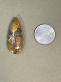 Mossy Ribbon Designer Cabochon
