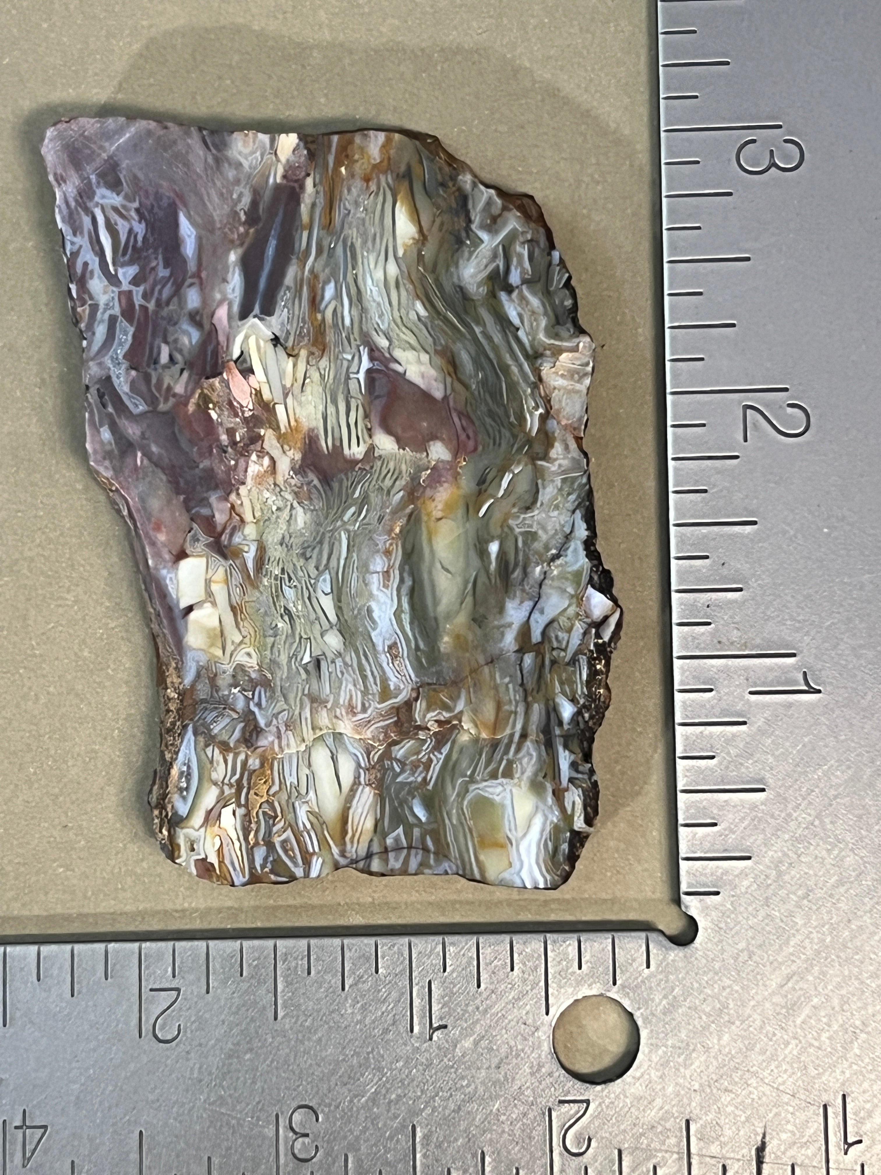 Brecciated Jasper from the Dead Camel Mountains