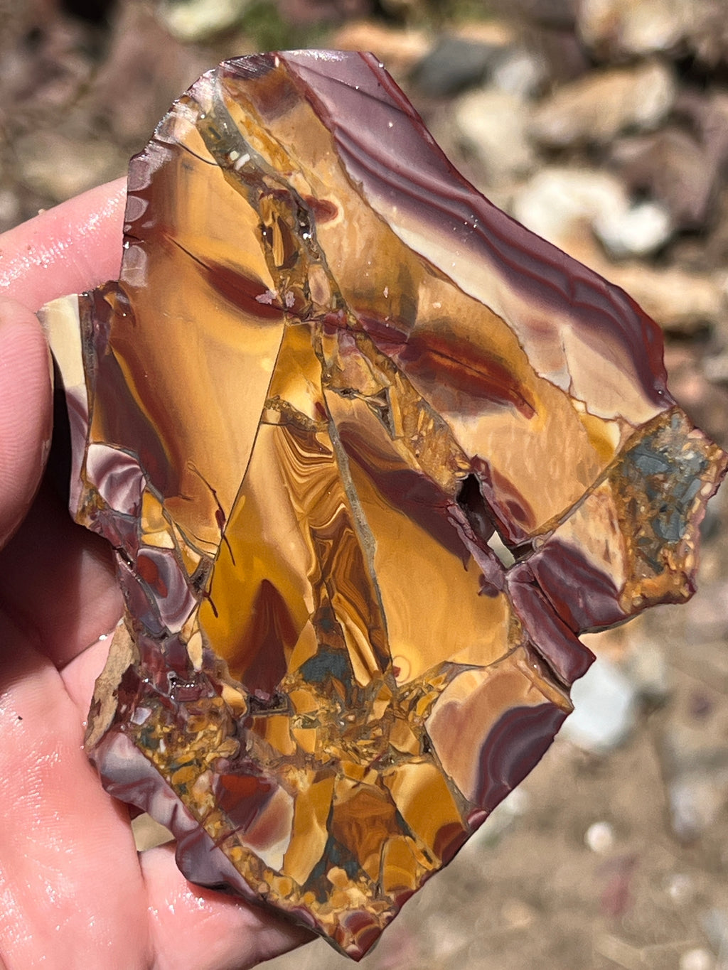 Brecciated Jasper from the Dead Camel Mountains