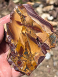 Brecciated Jasper from the Dead Camel Mountains
