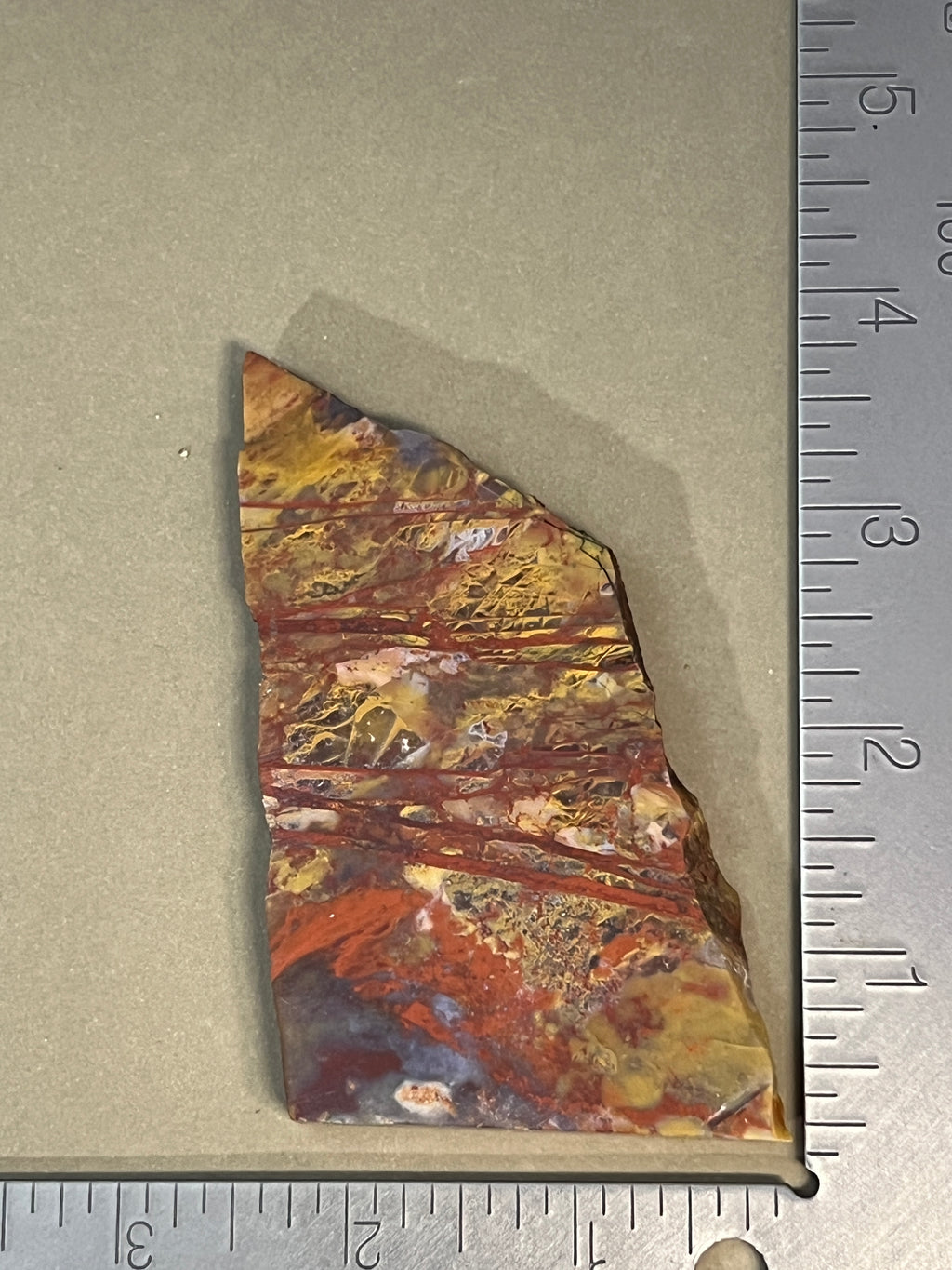 Donkey Ridge Jasper Slab