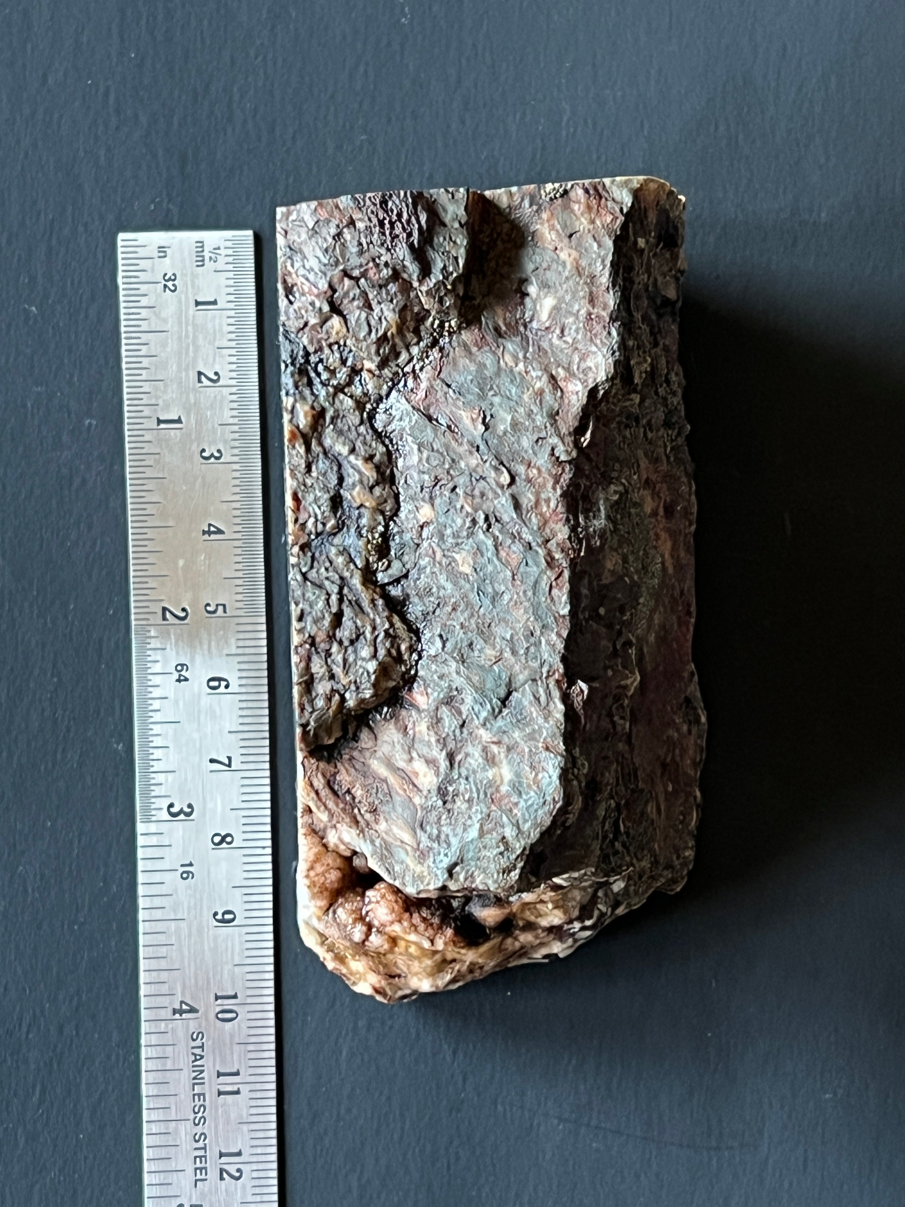 Lone Juniper Plume Agate Faced Rough