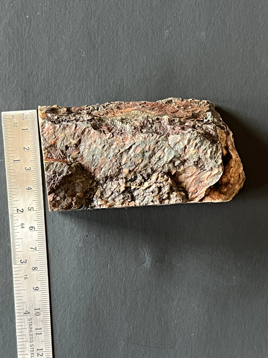 Lone Juniper Plume Agate Faced Rough