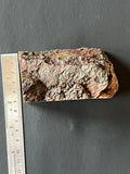 Lone Juniper Plume Agate Faced Rough