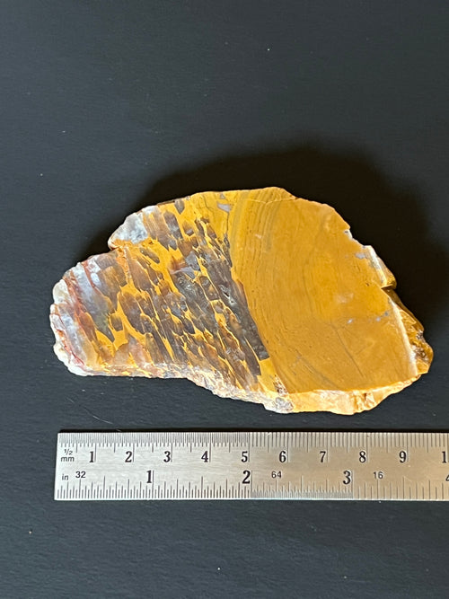 Agate Hill Tube Jasper