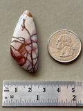 Dead Camel Jasper Designer Cabochon