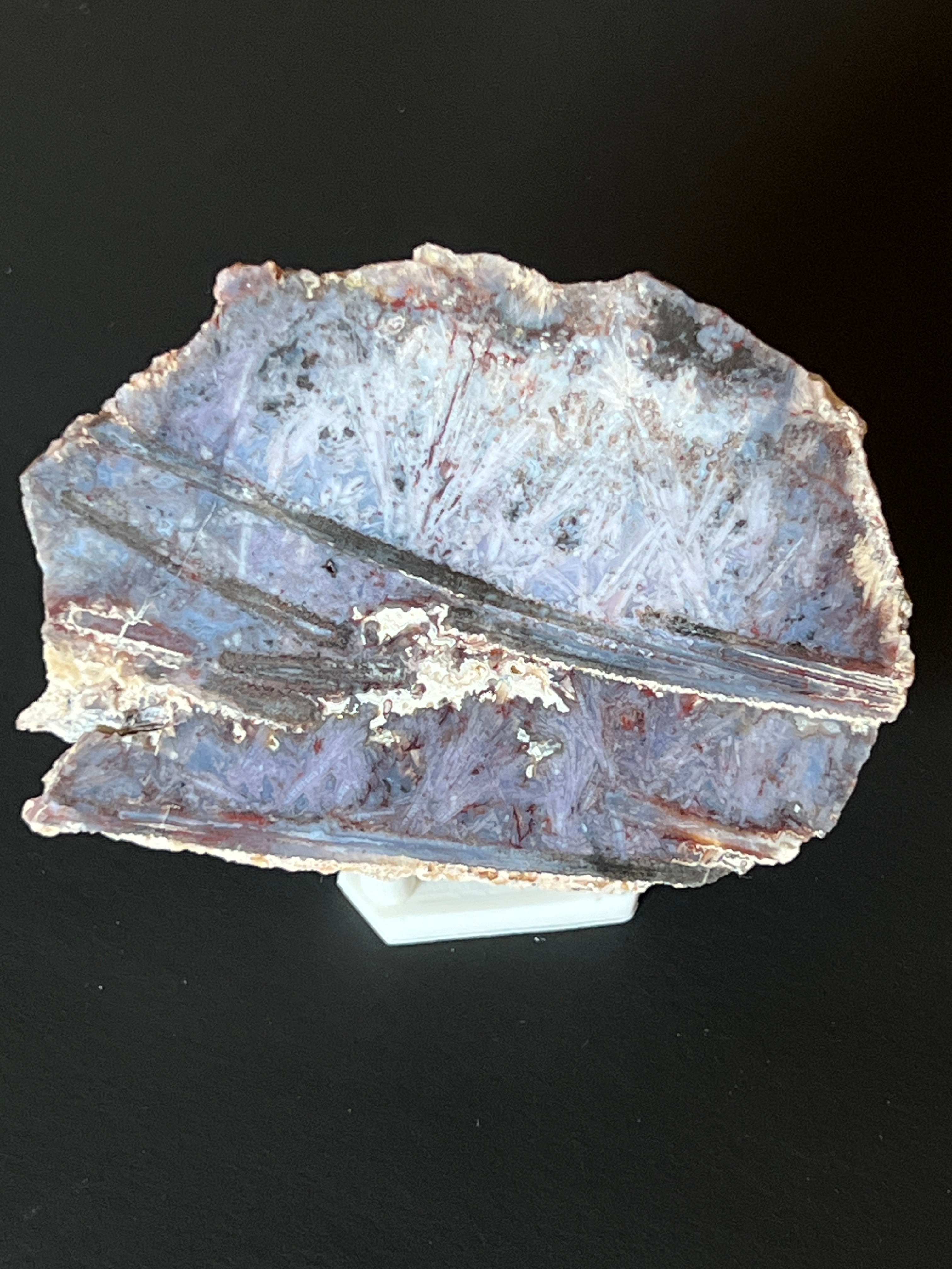 Polished Artemisia Sagenite