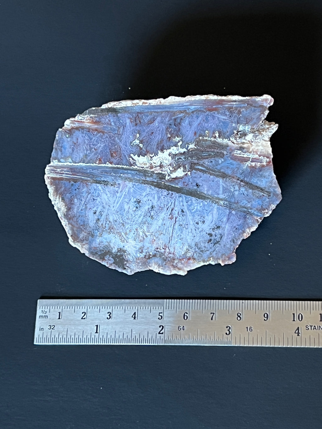 Polished Artemisia Sagenite