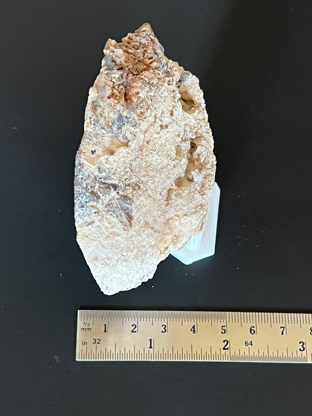 Polished Artemisia Sagenite