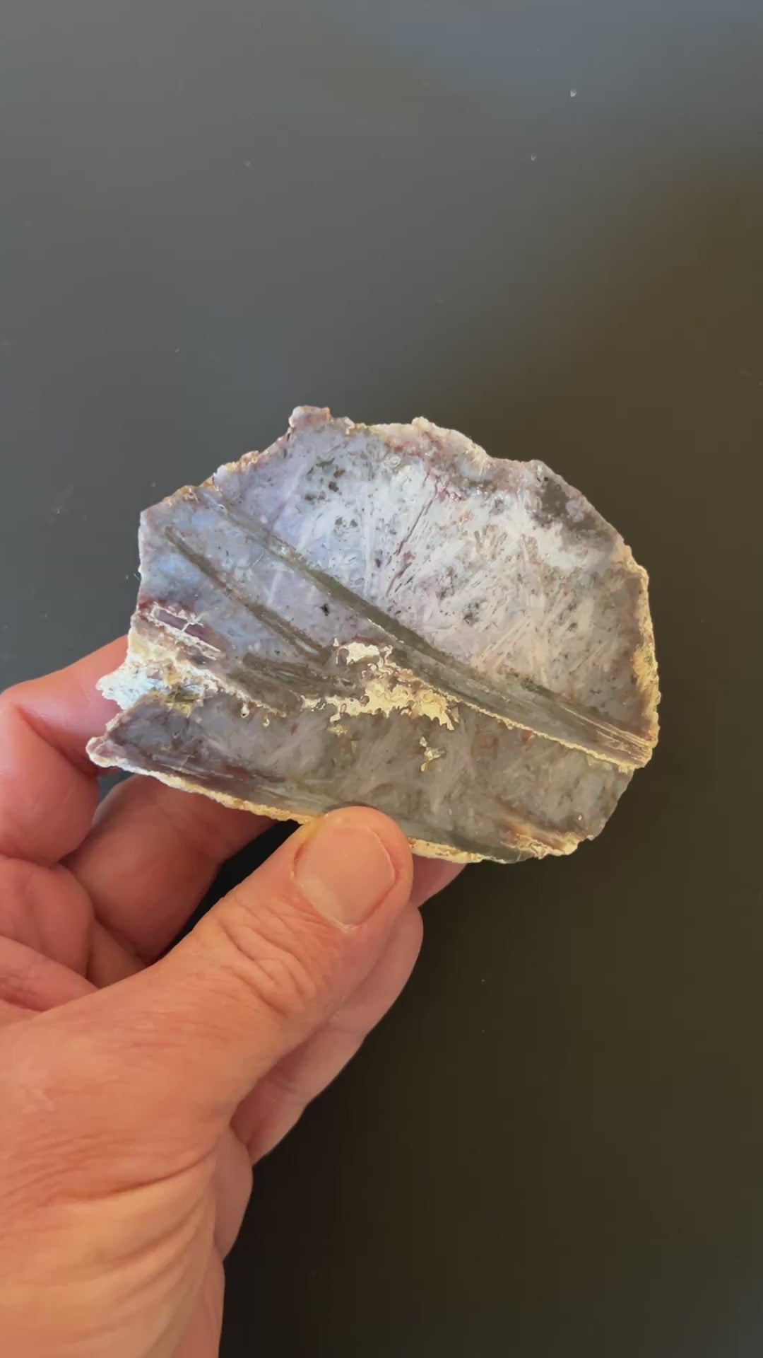 Polished Artemisia Sagenite