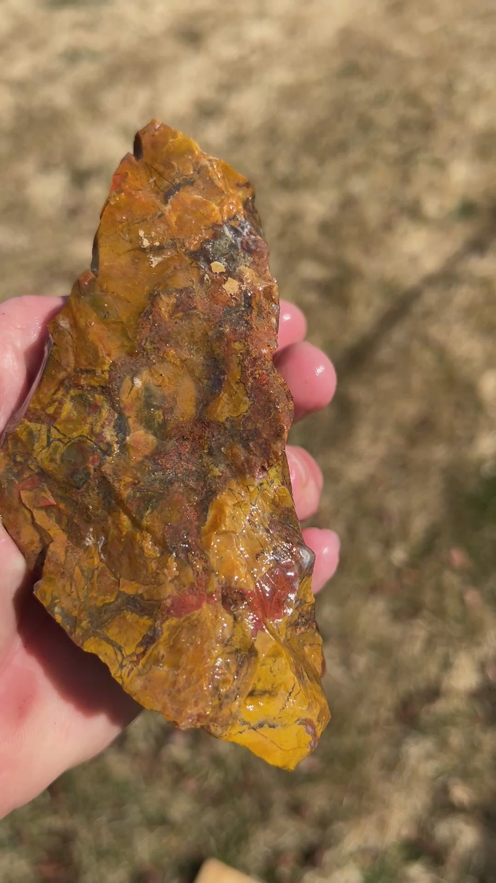 Mossy Ribbons Jasper Rough
