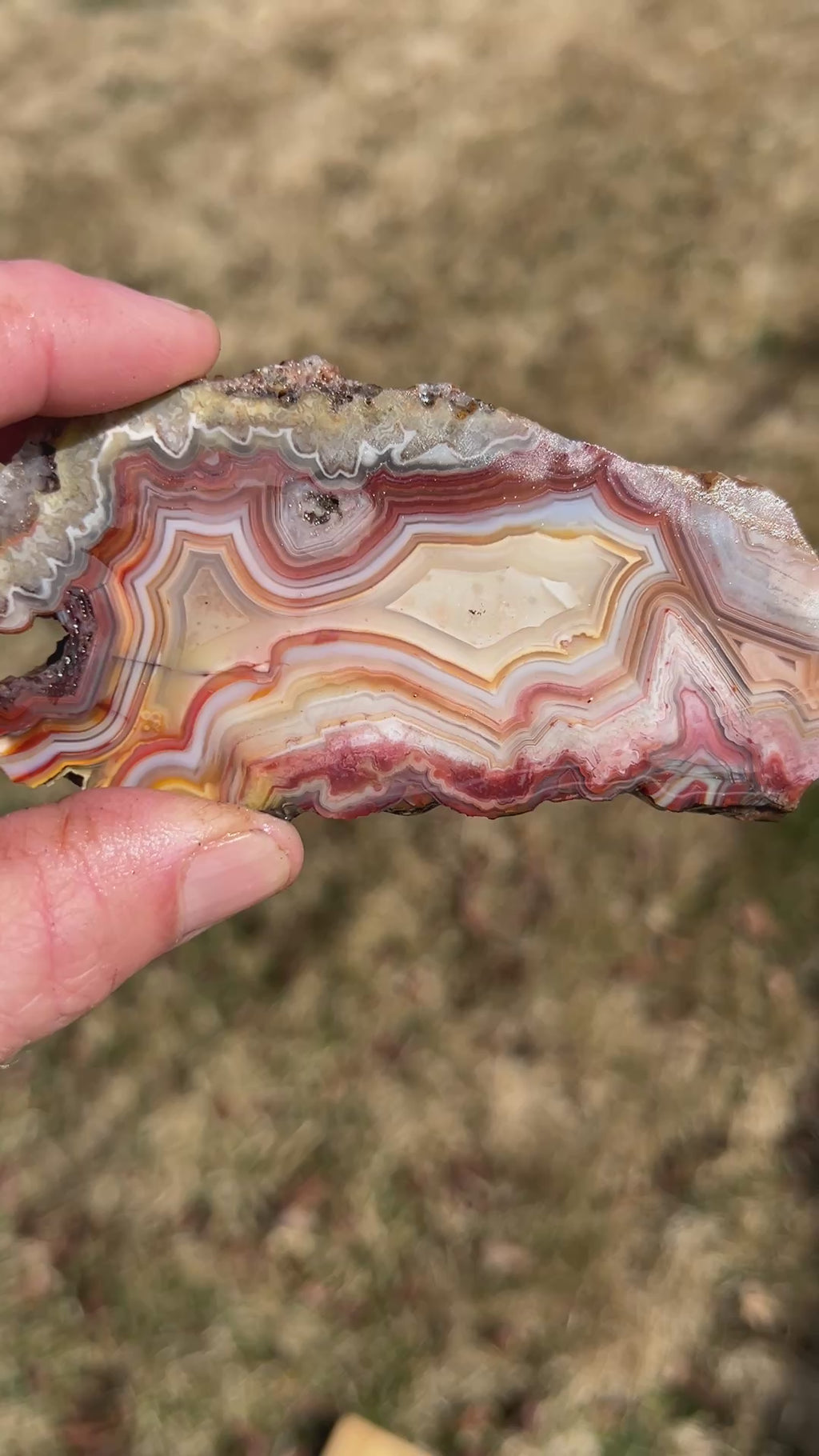 Laguna Agate Slab