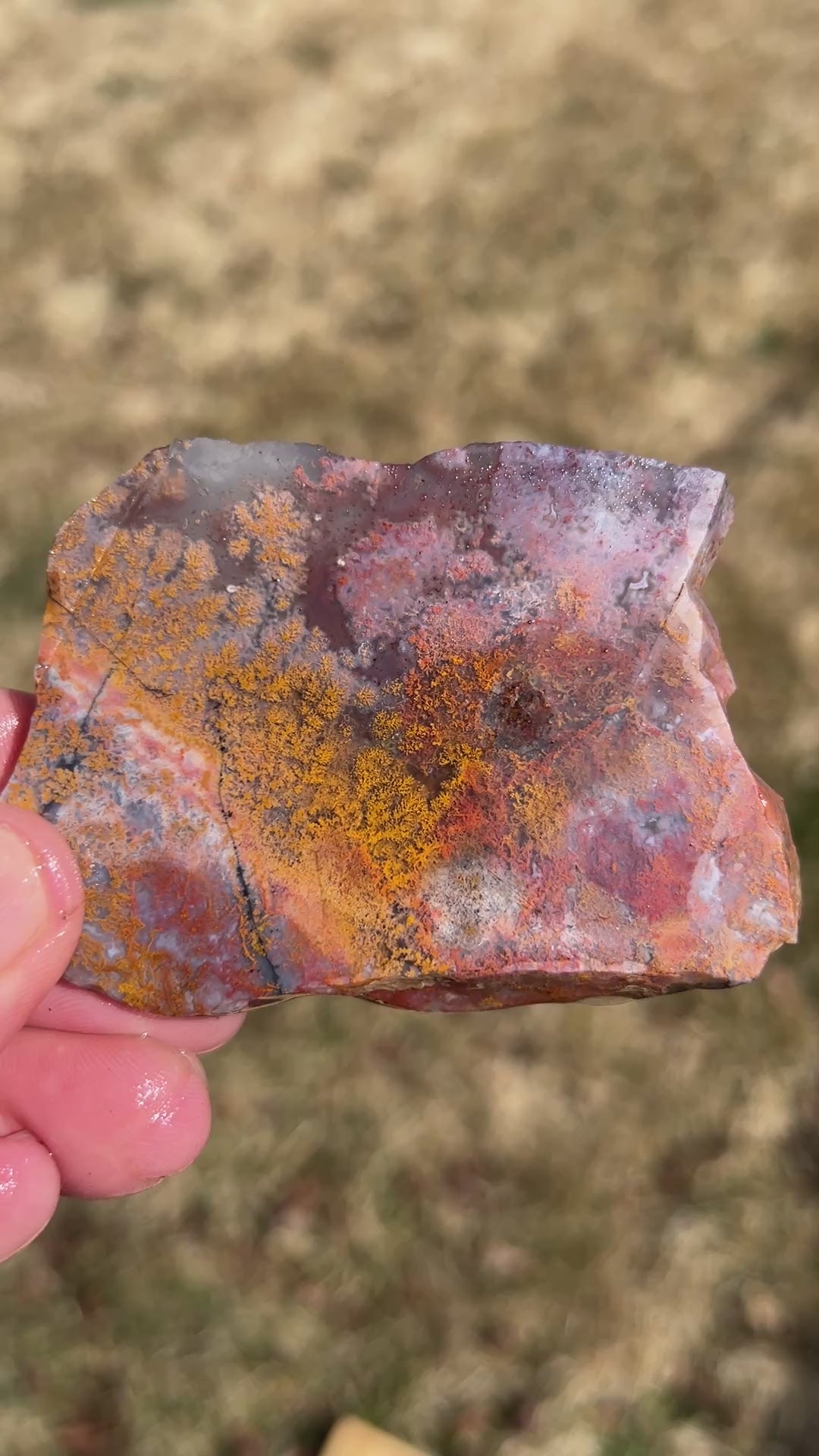 Agate Hill Plume Agate Slab