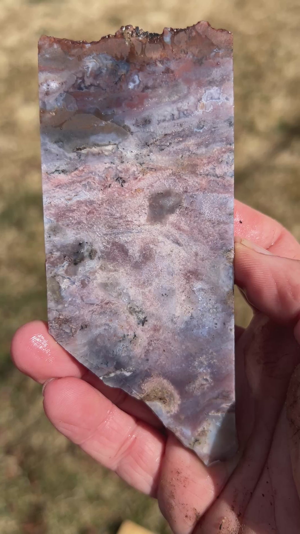 Artemisia Agate Slab