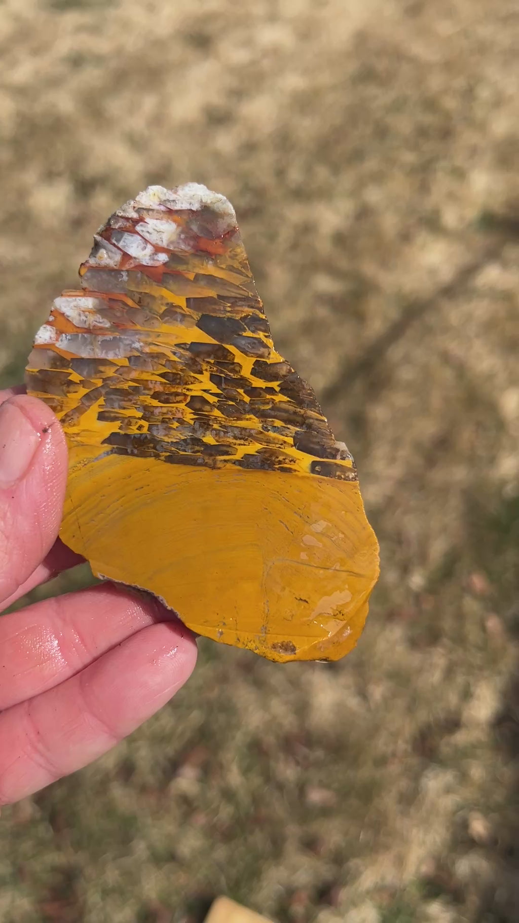 Agate Hill Tube Jasper